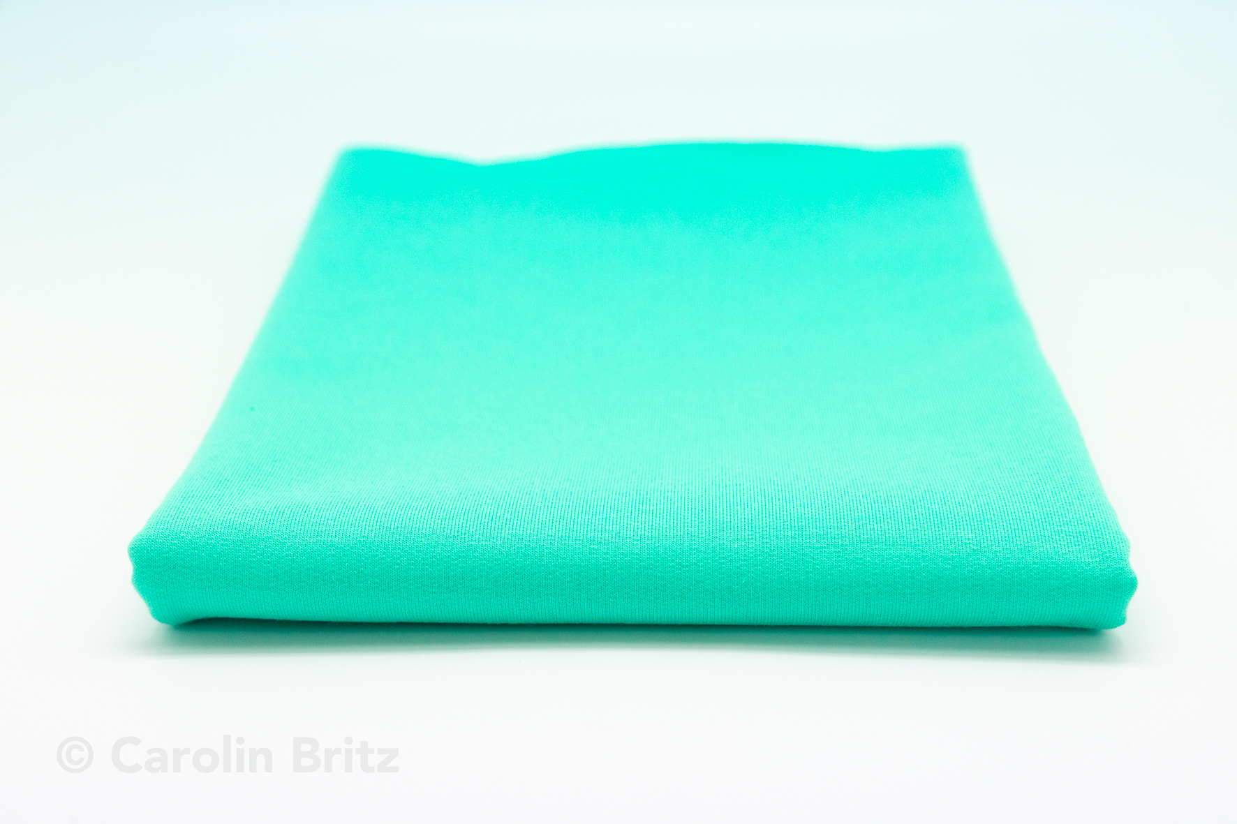 Stoff, French Terry, uni, mint (0,5m)